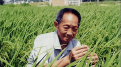 2024中美农产物进出口对比：美国进口1813亿出口