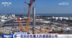 <strong>新一批标记性严沉外资项目正在华落地</strong>